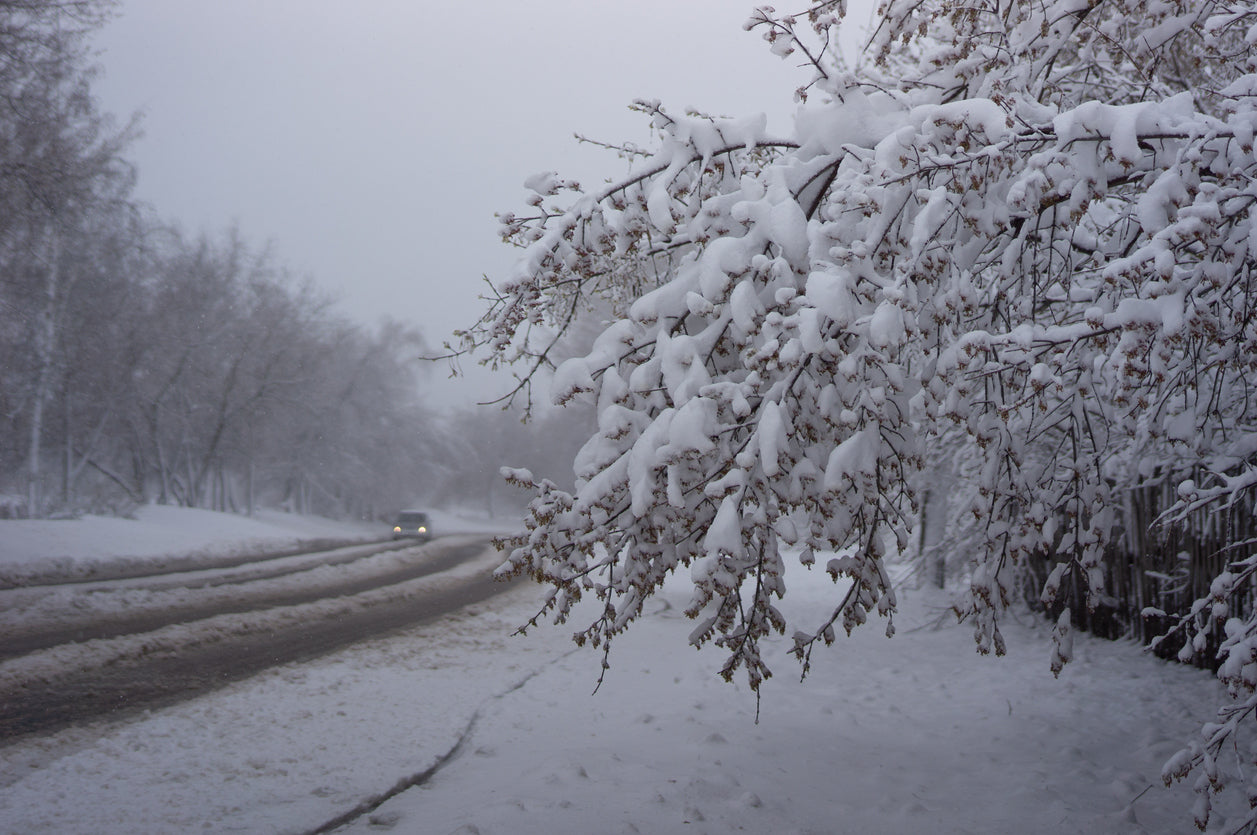 Understanding Weather Whiplash: Navigating Nature's Rollercoaster