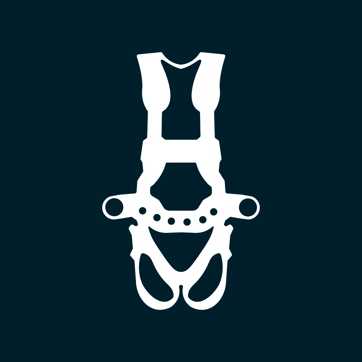 Honeywell 6' Miller® TurboLite™ Personal Fall Limiter