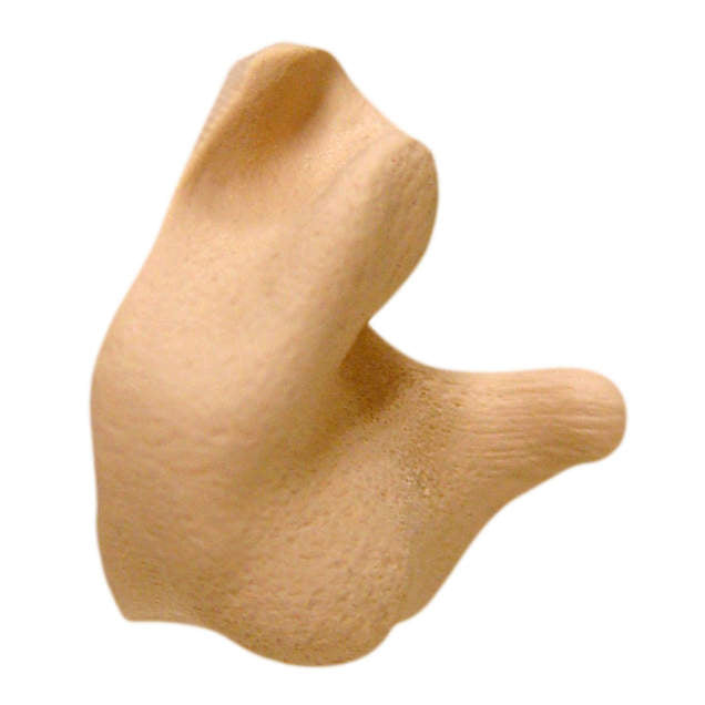 Radians Custom Molded Earplugs (BLUE, ORANGE, RED, PINK, TAN)/ Pair