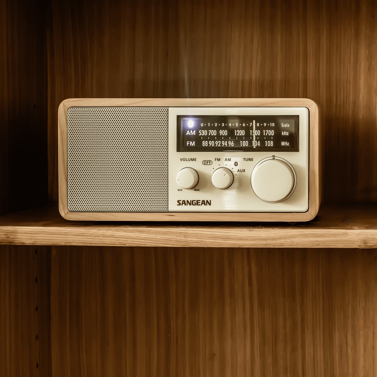 AM / FM / AUX / Bluetooth Wooden Cabinet Radio-eSafety Supplies, Inc