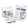 ANSI First Aid Kit