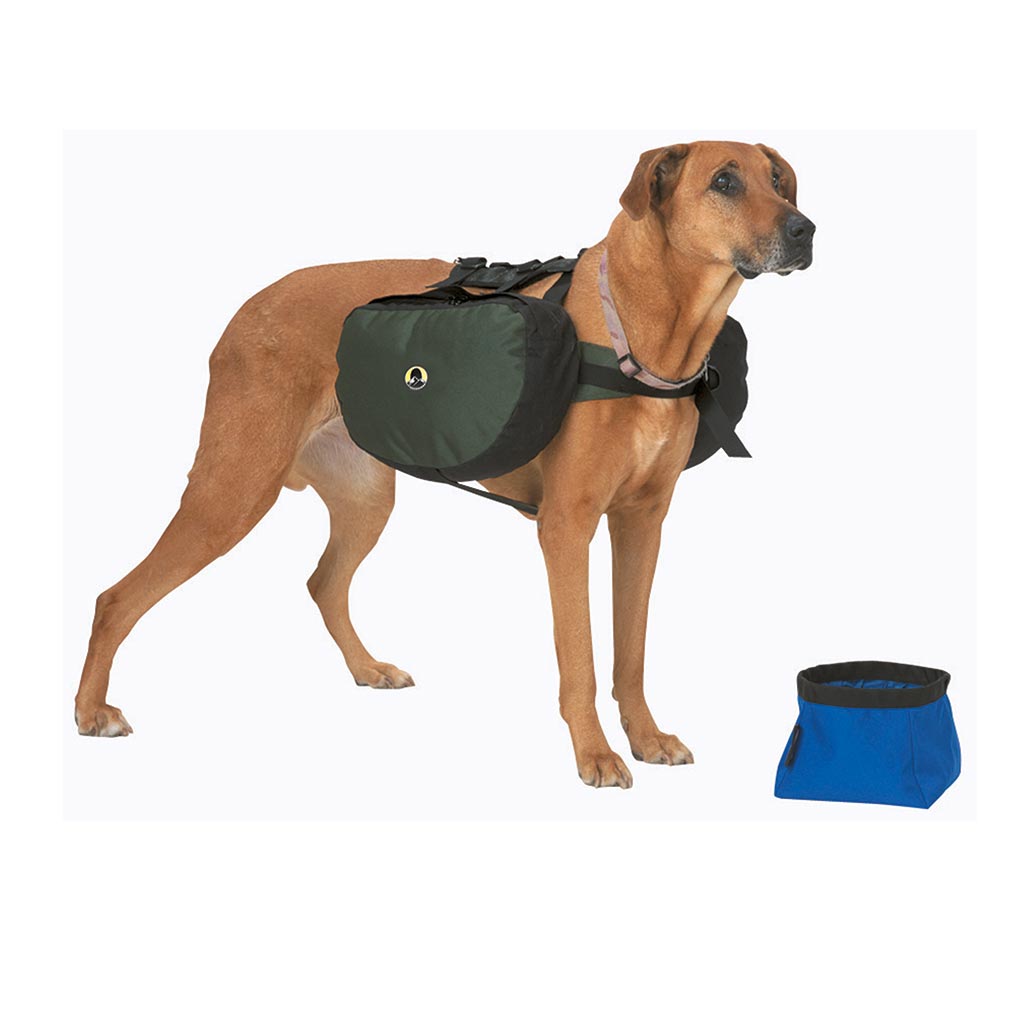 Collapsible Dog Bowl-eSafety Supplies, Inc