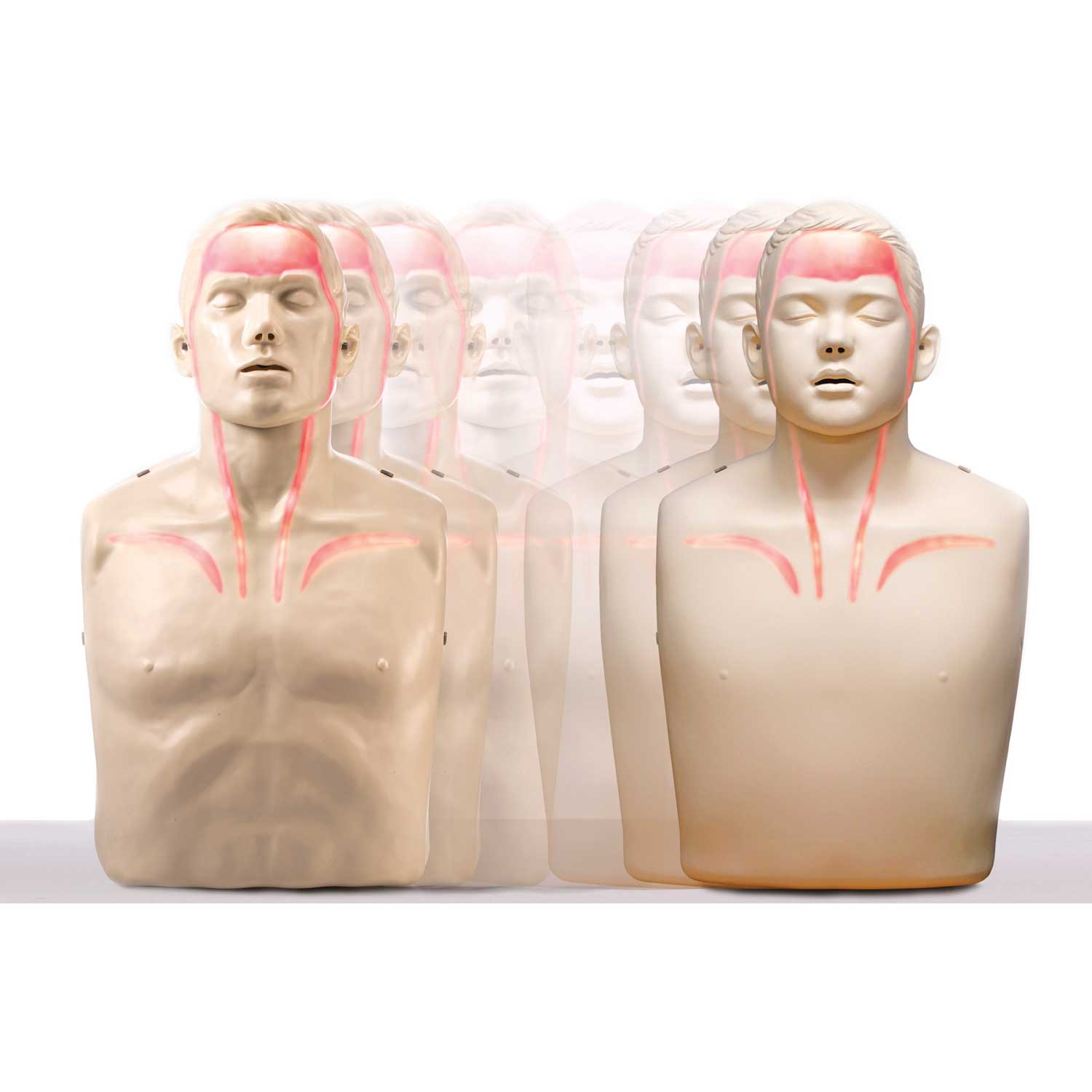 Brayden Junior Cpr Manikin Kit-eSafety Supplies, Inc