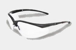 Radnor - Select Series - Safety Glasses-eSafety Supplies, Inc