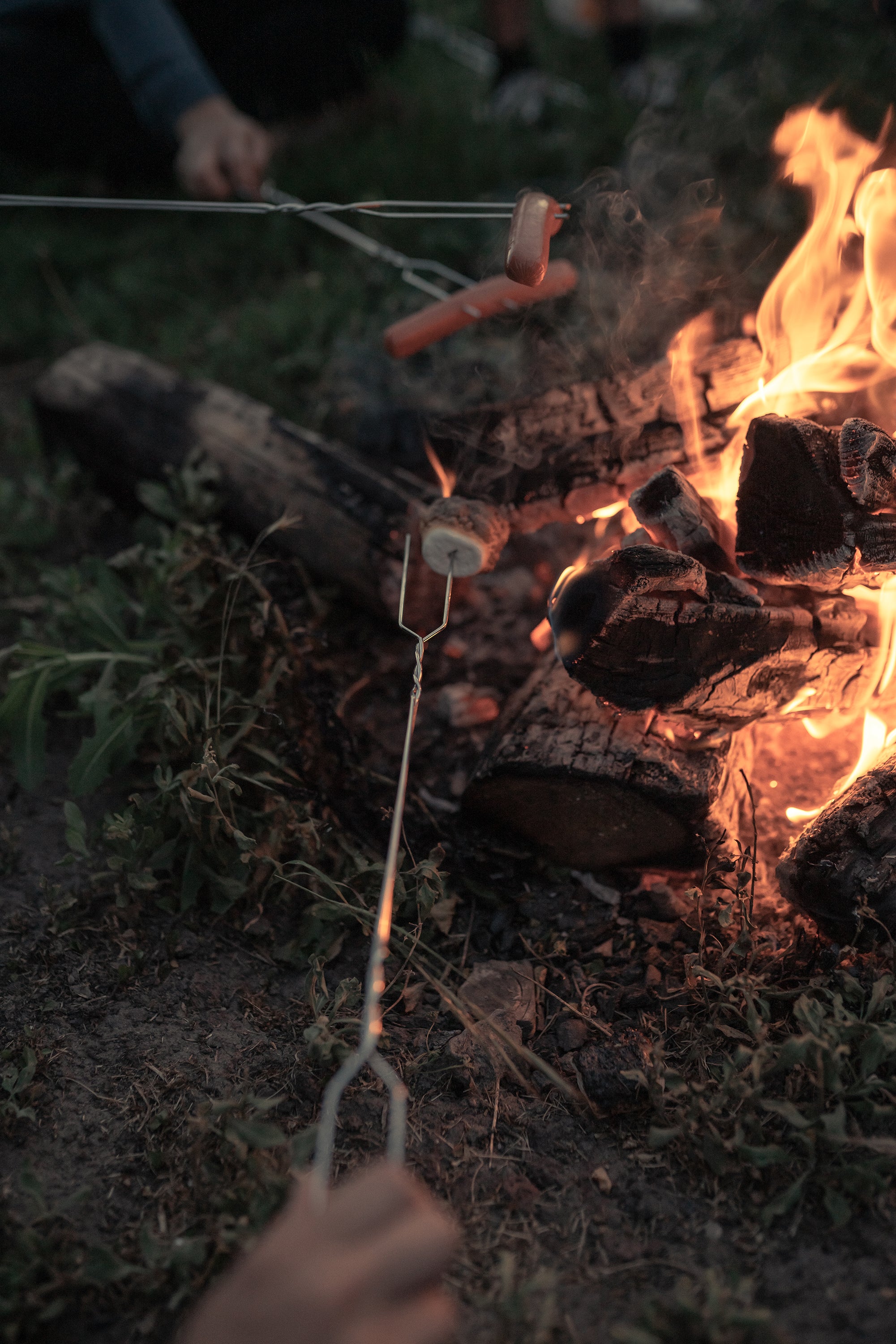 Steel Toaster Forks-4/Pkg-eSafety Supplies, Inc