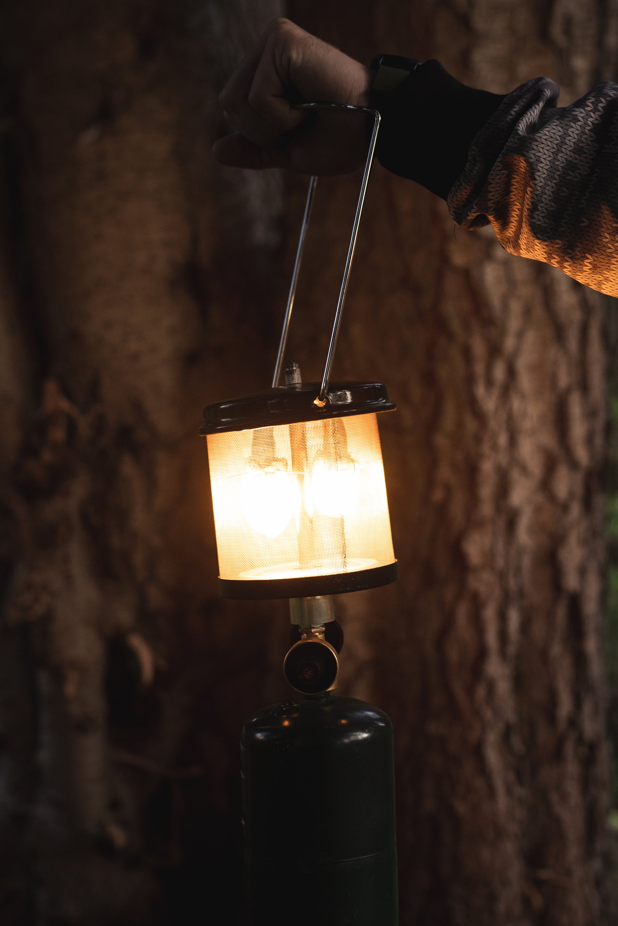 Lantern Globe-Wire Mesh (Fits 170 Lantern)-eSafety Supplies, Inc