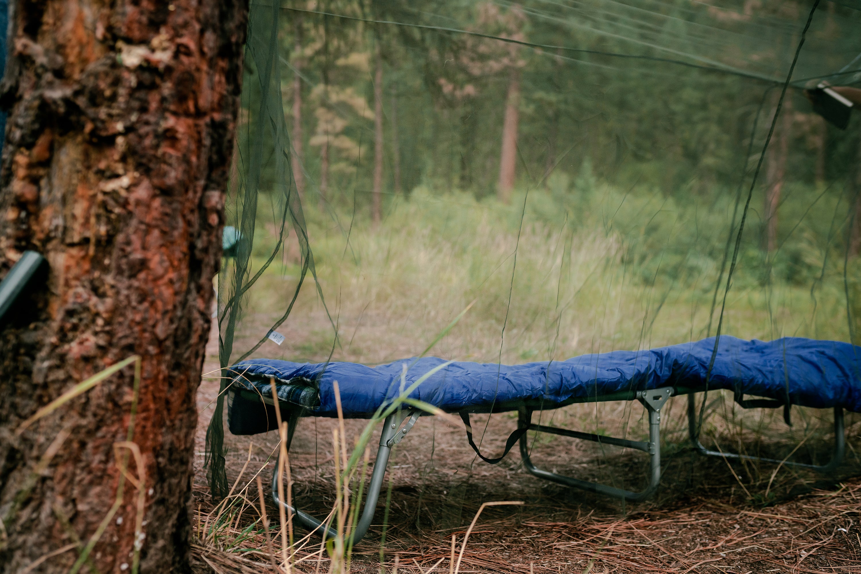 Mosquito Netting - 79 In X 32 In X 59 In-eSafety Supplies, Inc