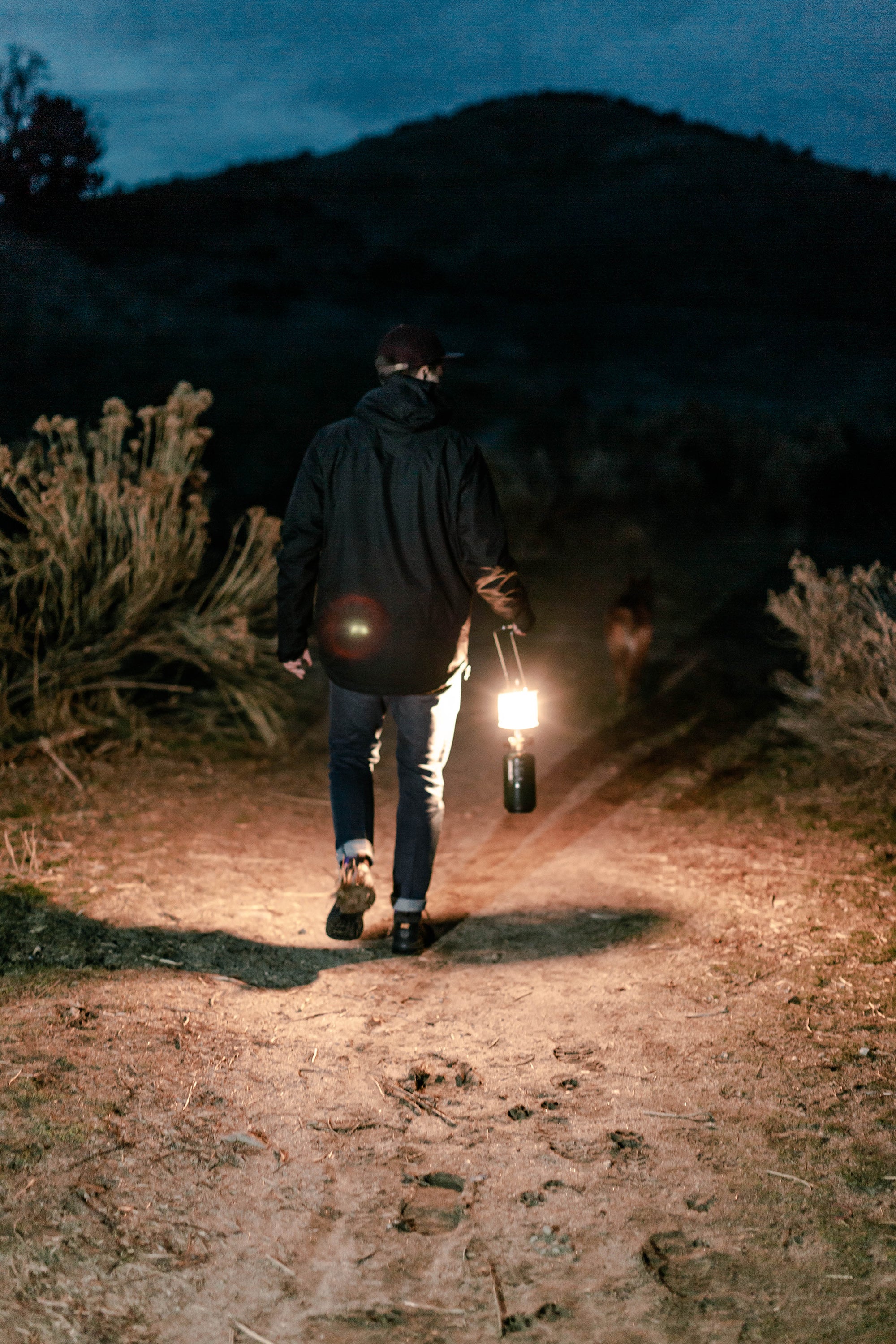 Lantern Globes (Fits #170 Lantern)-eSafety Supplies, Inc