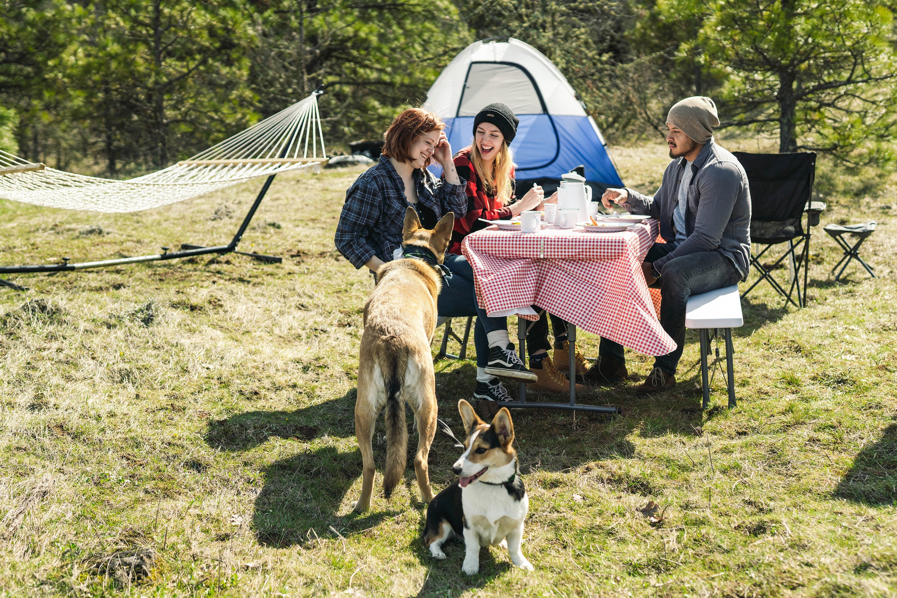 Picnic Table Cloth Combo-eSafety Supplies, Inc