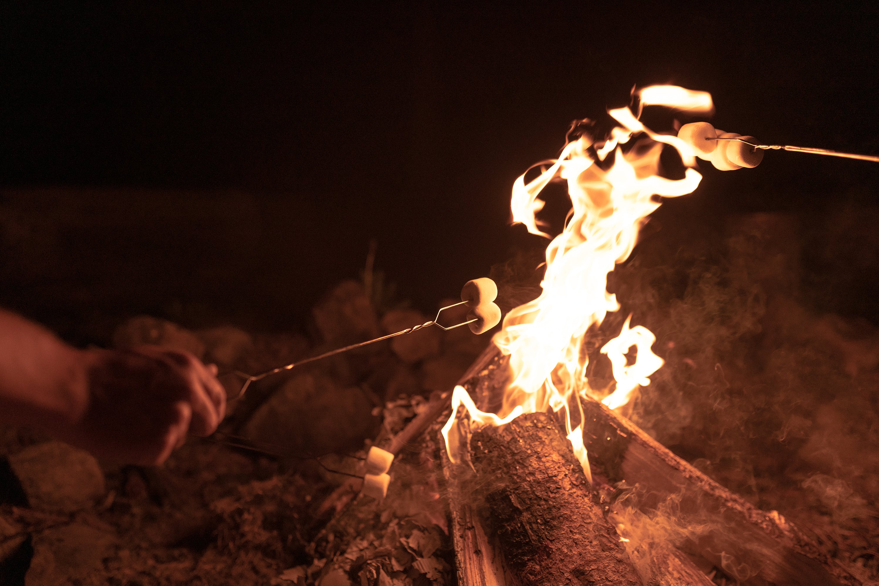 Steel Toaster Forks-4/Pkg-eSafety Supplies, Inc