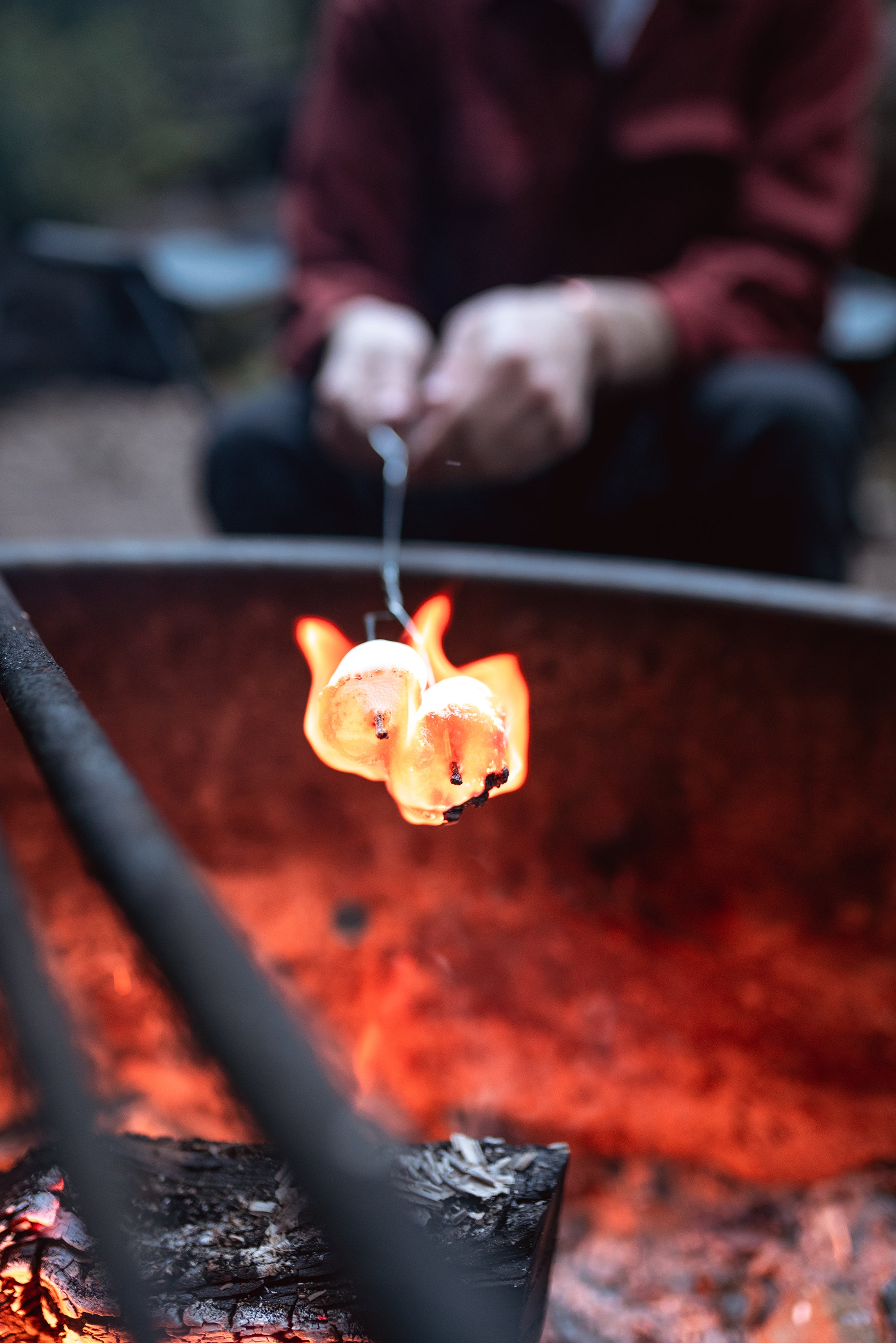 Steel Toaster Forks-4/Pkg-eSafety Supplies, Inc