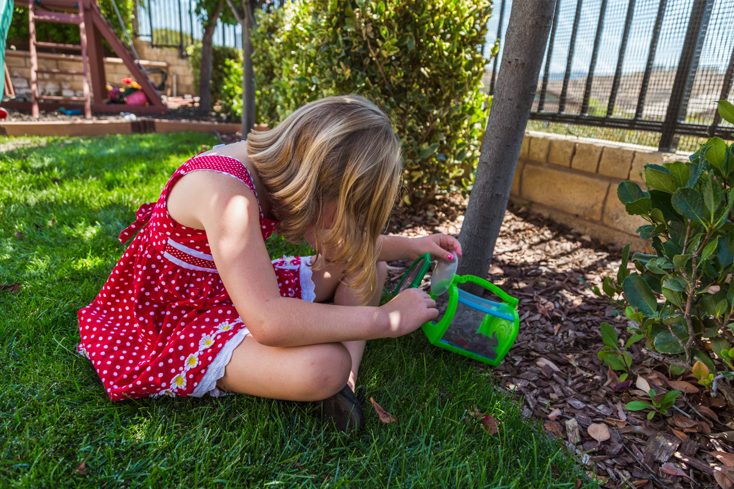 Insect Catching Kit-eSafety Supplies, Inc