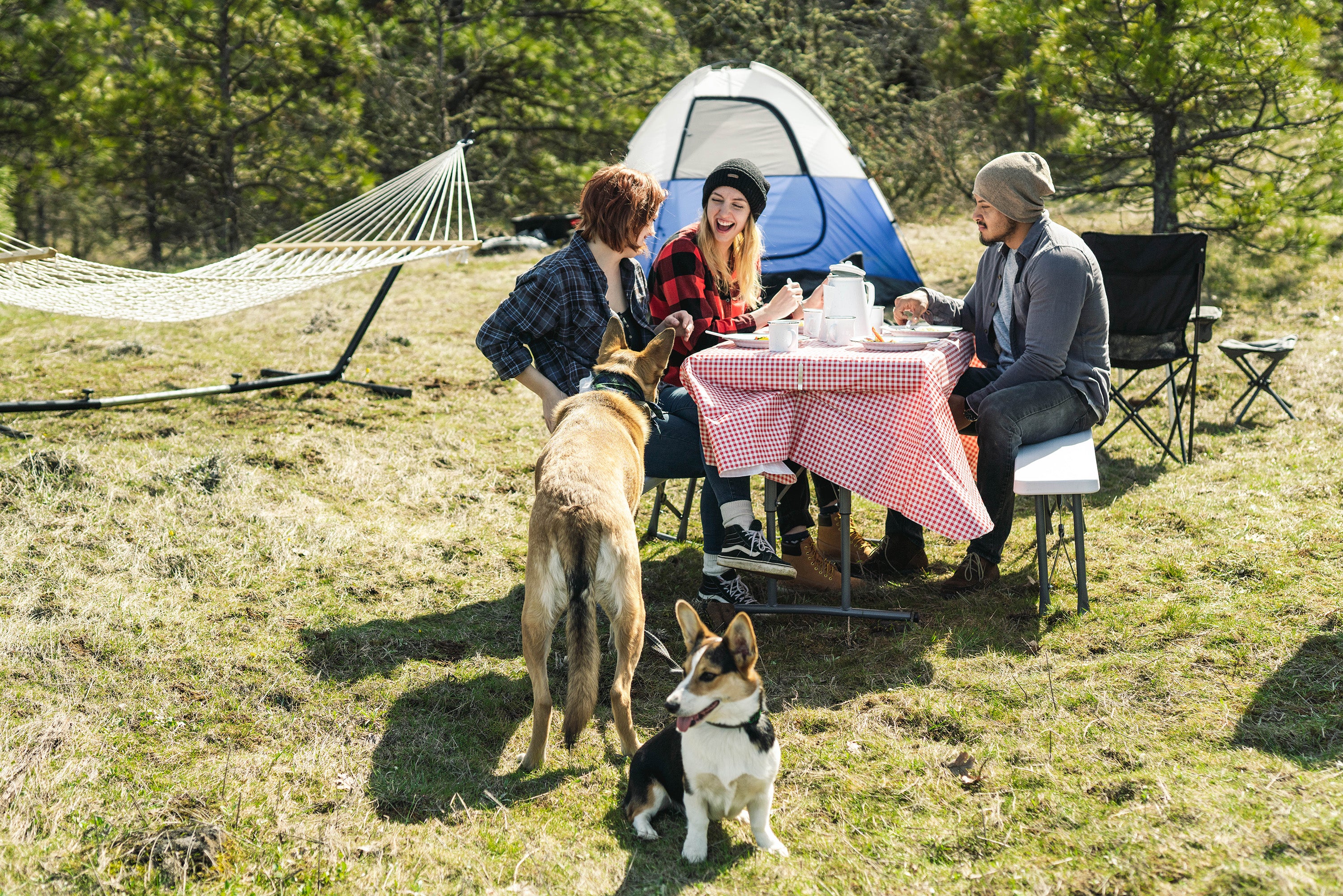 Enamel Camping Tableware Set-24 Pieces-White With Blue Specs-eSafety Supplies, Inc