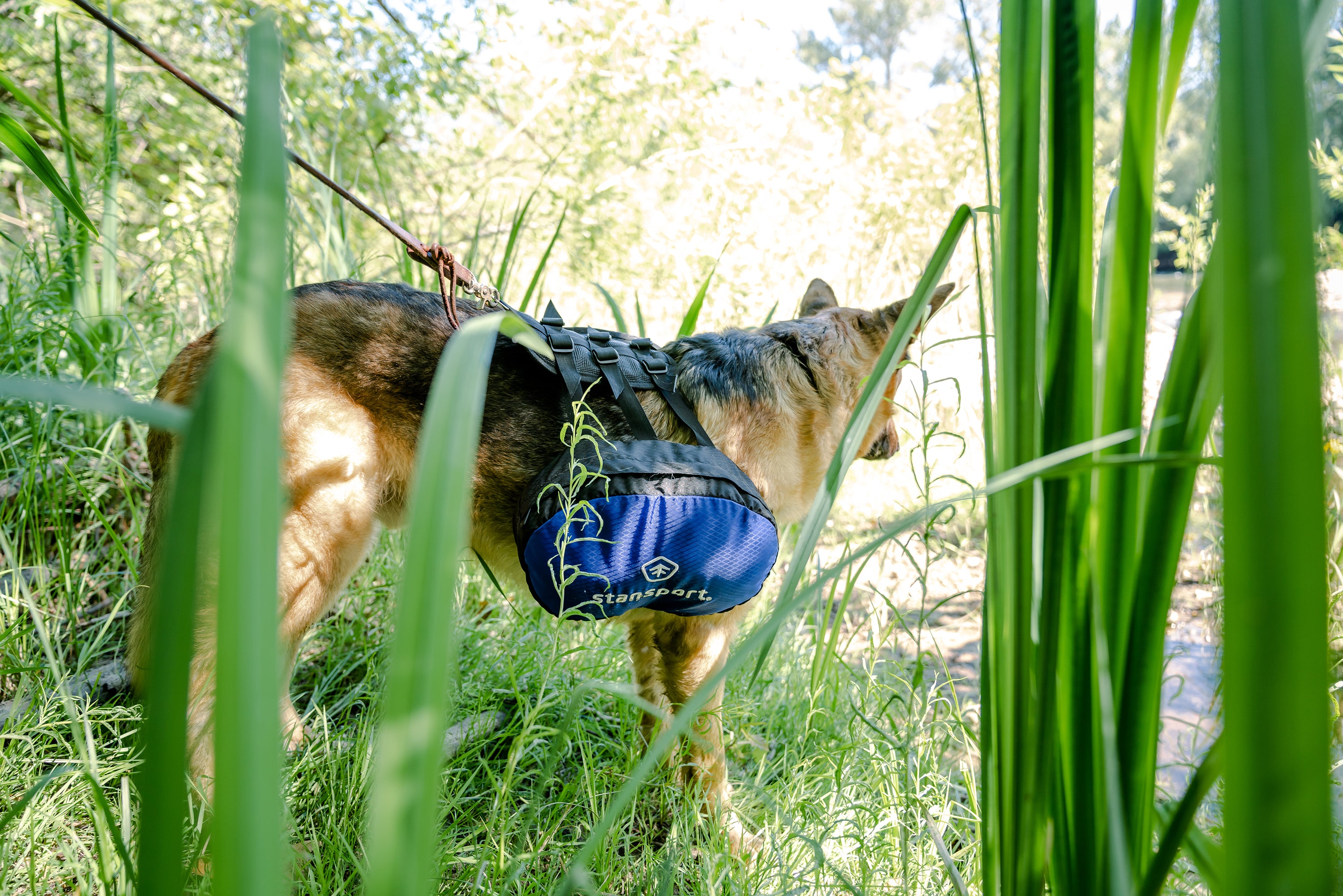 Saddle Bag For Dogs-eSafety Supplies, Inc