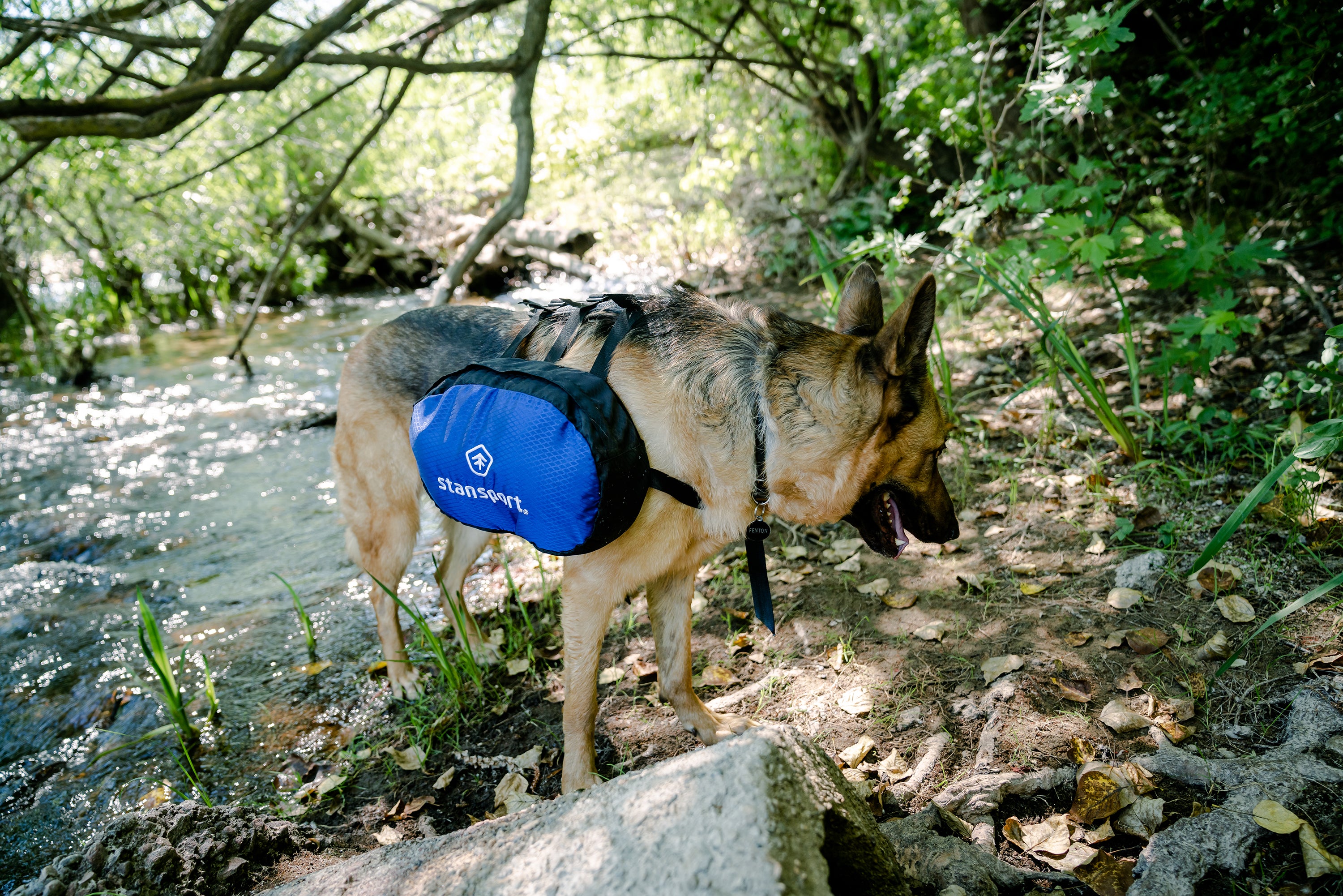 Saddle Bag For Dogs-eSafety Supplies, Inc