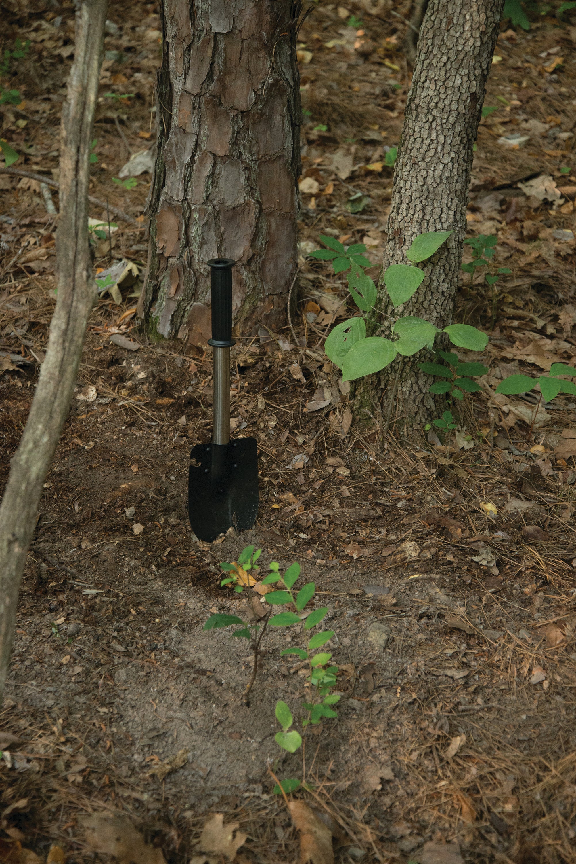 6-In-1 Survival Multi Purpose Tool-eSafety Supplies, Inc