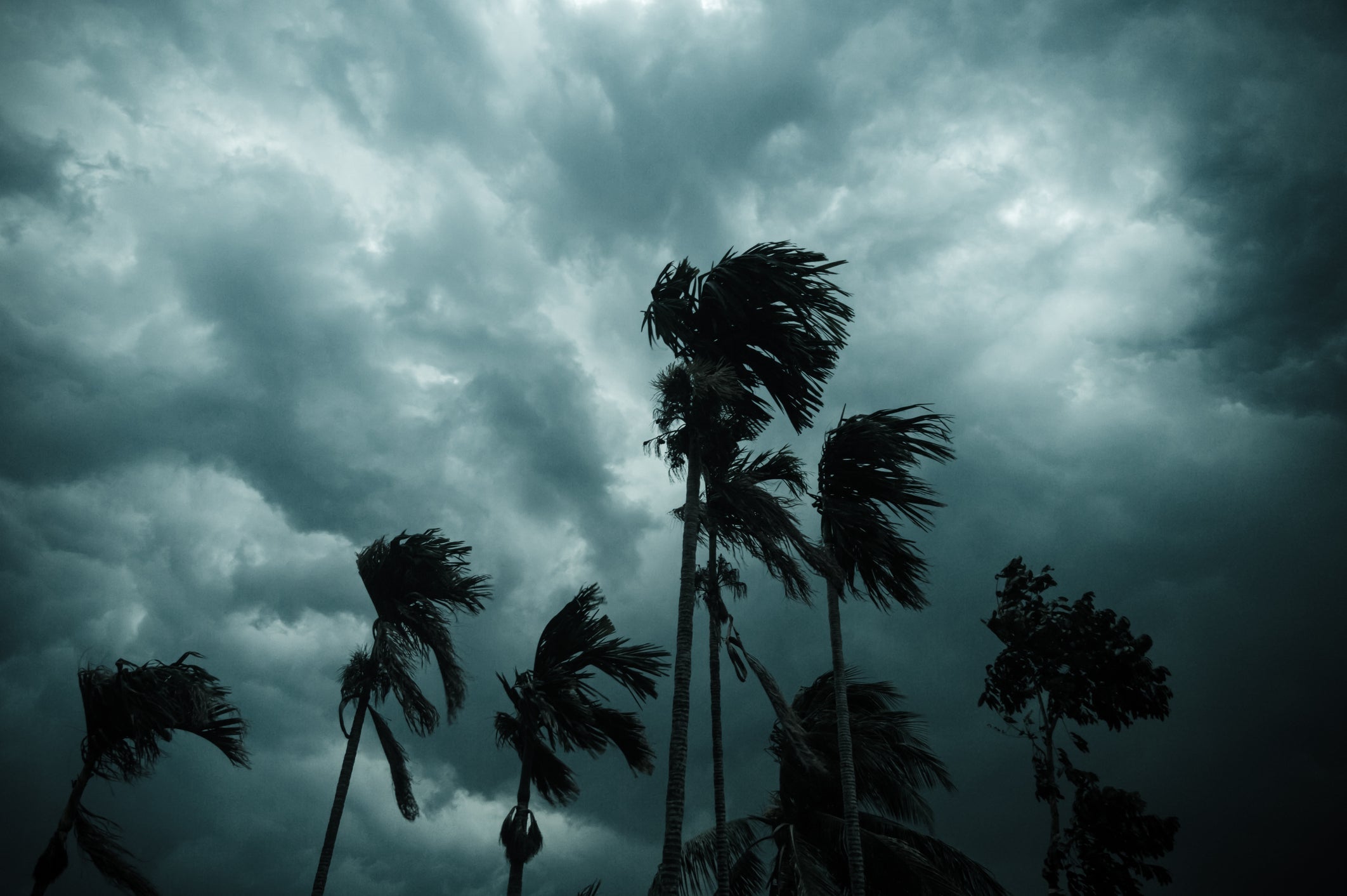 What Hurricane Melissa Taught Us About Rapid Intensification and Readiness