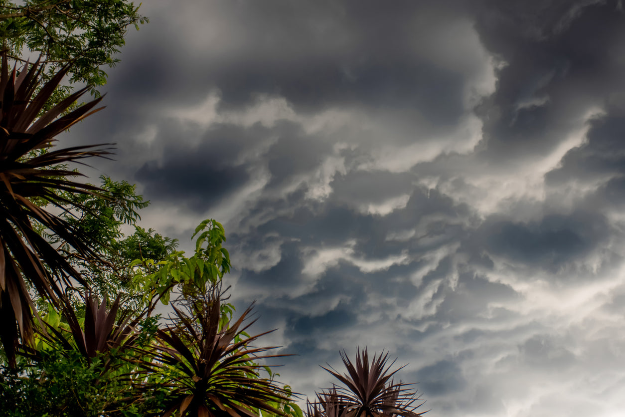 Demystifying El Niño Weather: A Comprehensive Overview