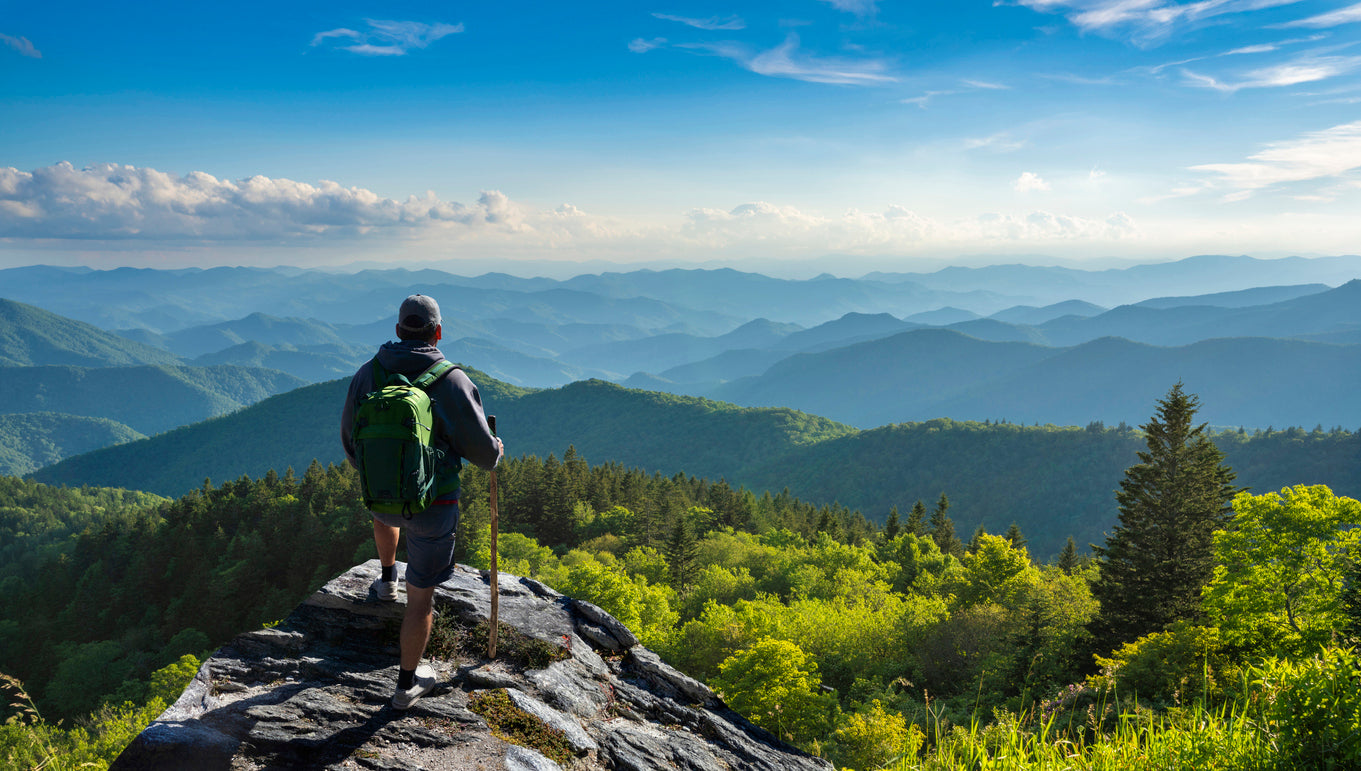 The Best Natural Insect Repellents for Hiking and Camping