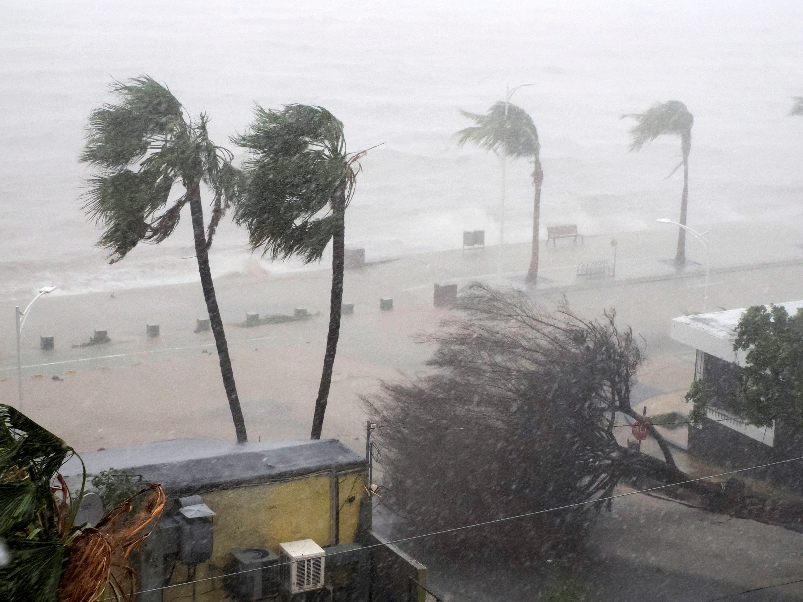 After the Storm: Cleanup Safety Tips and PPE for Flood Recovery After Hurricane Melissa