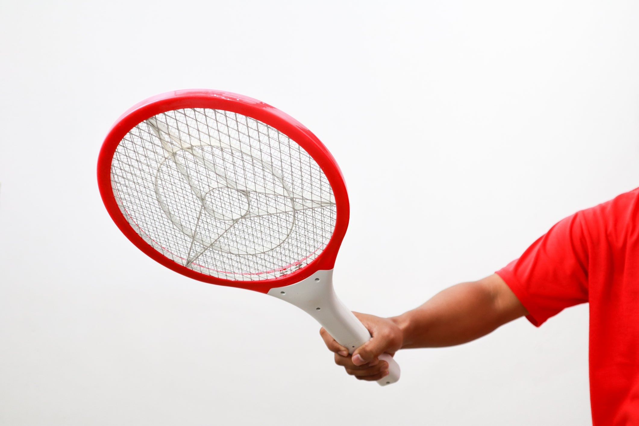 What Is an Electric Bug Swatter, the Benefits, and How to Use It