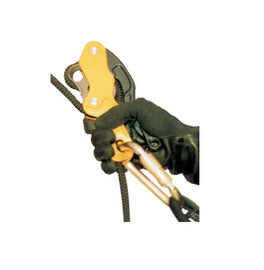 MSA Anthron Descender