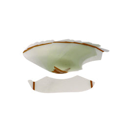 Bullard® Mylar™ Rectangular Lens Cover For Spectrum® (25 Per Package)