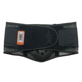 Ergodyne Black ProFlex® 1051 Polyester Back Support With Nylex Padding