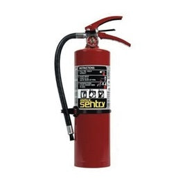 Ansul® Model AA05S-1 Sentry® 5 lb ABC Fire Extinguisher-eSafety Supplies, Inc