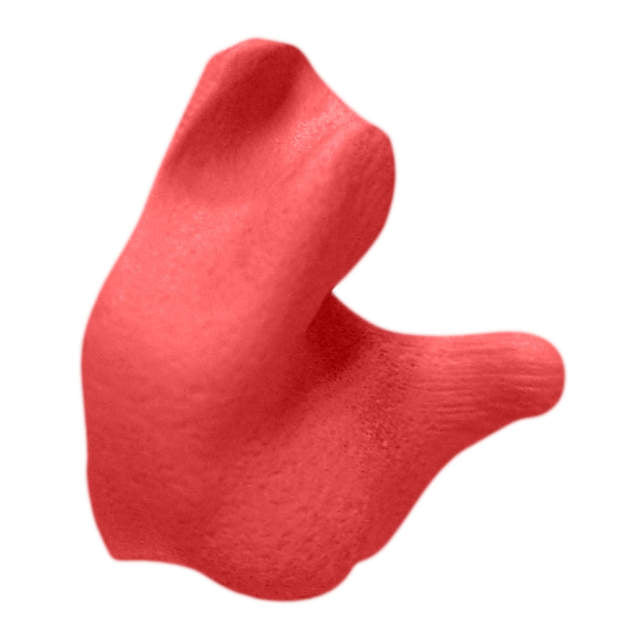 Radians Custom Molded Earplugs (BLUE, ORANGE, RED, PINK, TAN)/ Pair