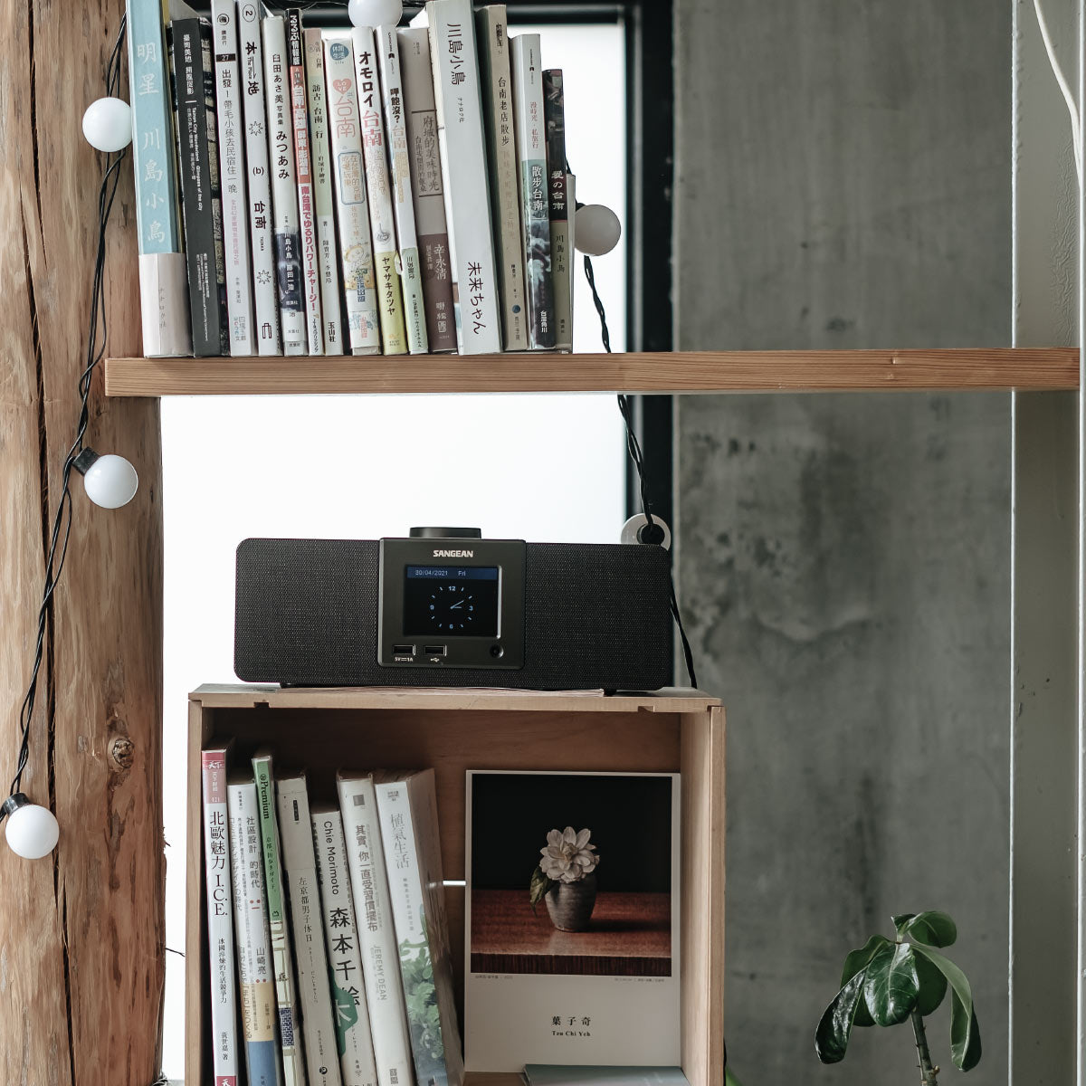 Internet Radio/AUX/Bluetooth/AirMusic App Digital Wooden Radio-eSafety Supplies, Inc