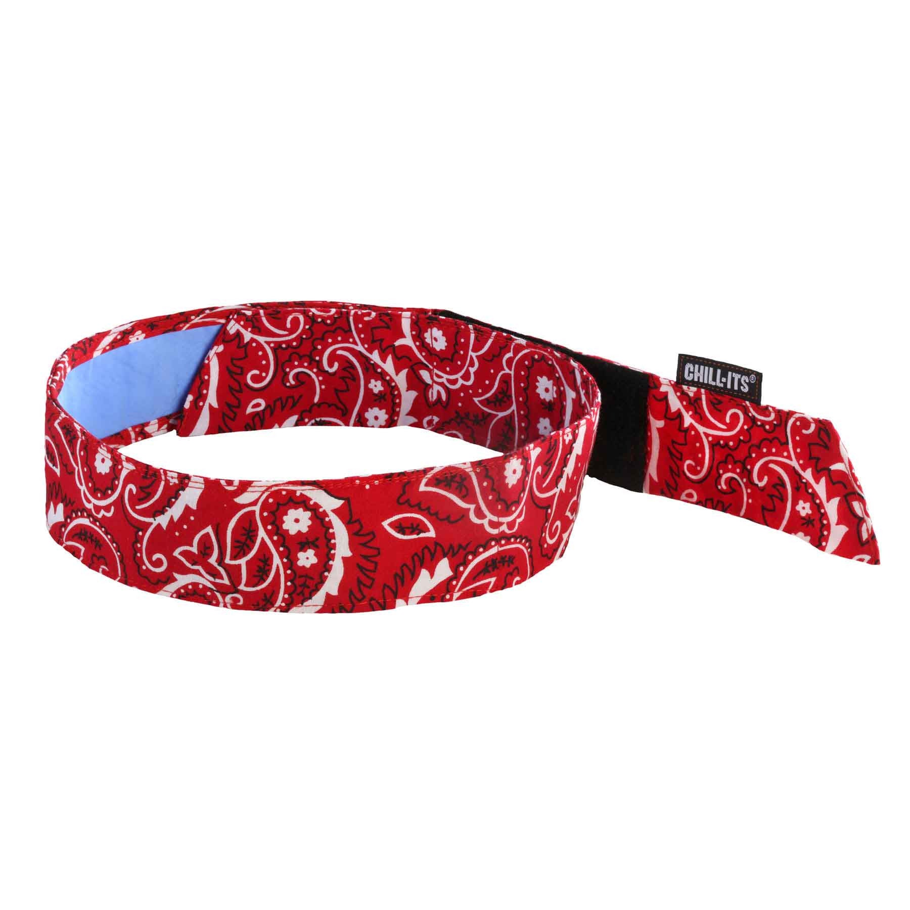 Ergodyne-Chill-ItsÂ® 6705CT Evap. Bandana w/CT - H&L-eSafety Supplies, Inc