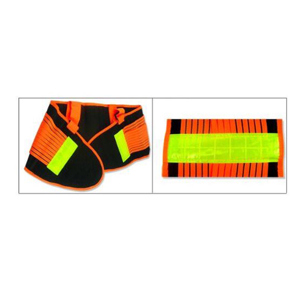 Deluxe High-vis Back Support-eSafety Supplies, Inc