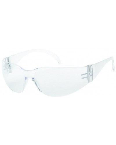 Clear Anti-Fog Lens - Wrap-Around Style Safety Glasses-eSafety Supplies, Inc