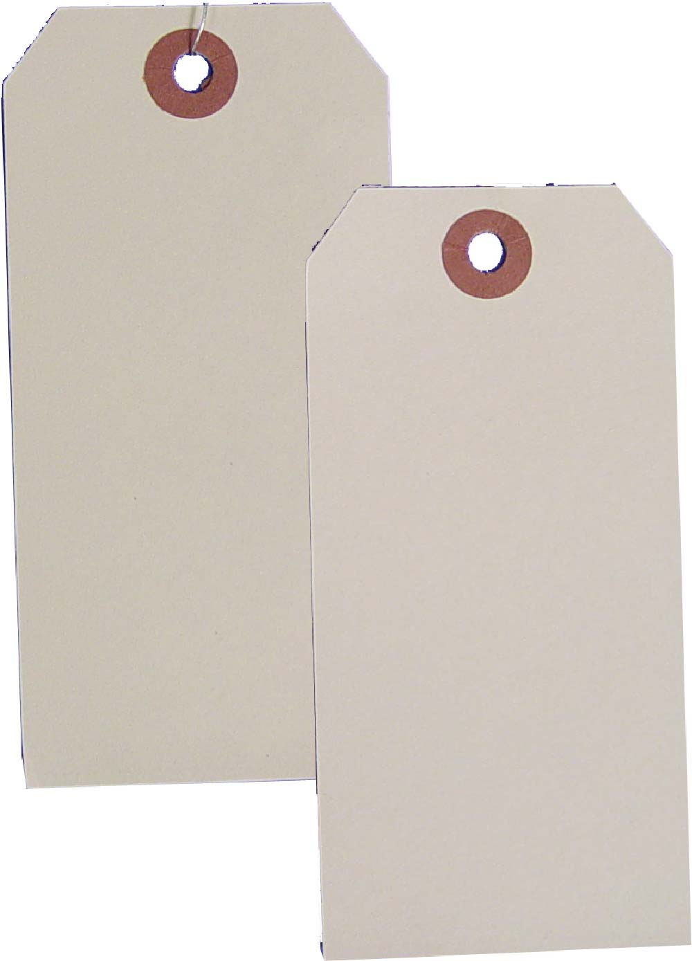 Large Manila Tag - Pack of 1000-eSafety Supplies, Inc