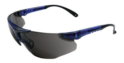 Radnor Elite Series Safety Glasses-eSafety Supplies, Inc