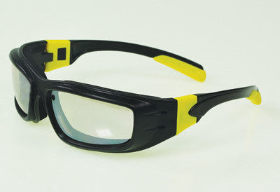 Radnor Panzer Sealed Saety Glasses-eSafety Supplies, Inc