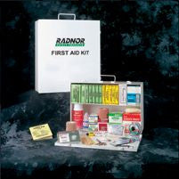 Radnor 100 Person Bulk Sturdy Metal First Aid Cabinet-eSafety Supplies, Inc
