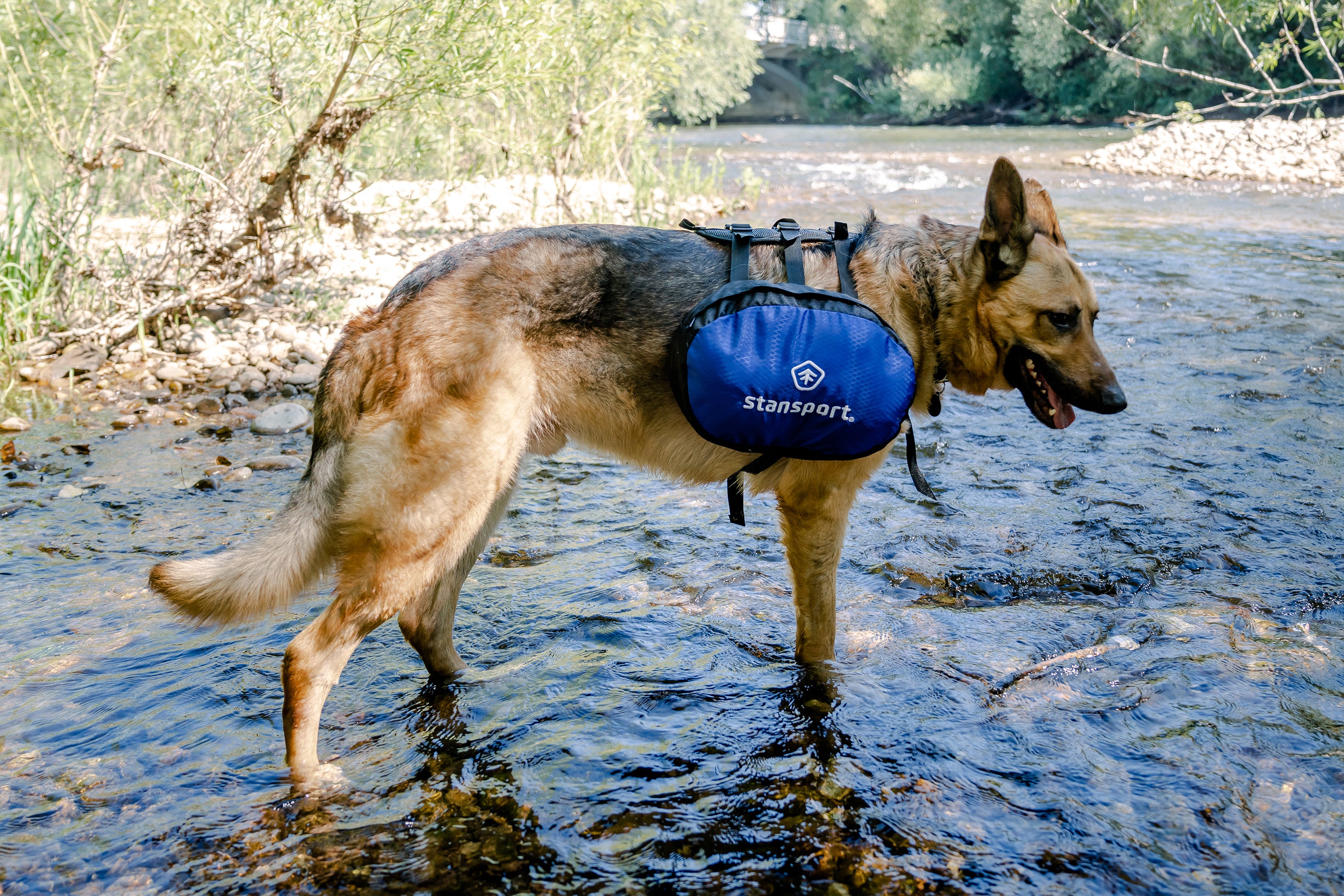 Saddle Bag For Dogs-eSafety Supplies, Inc