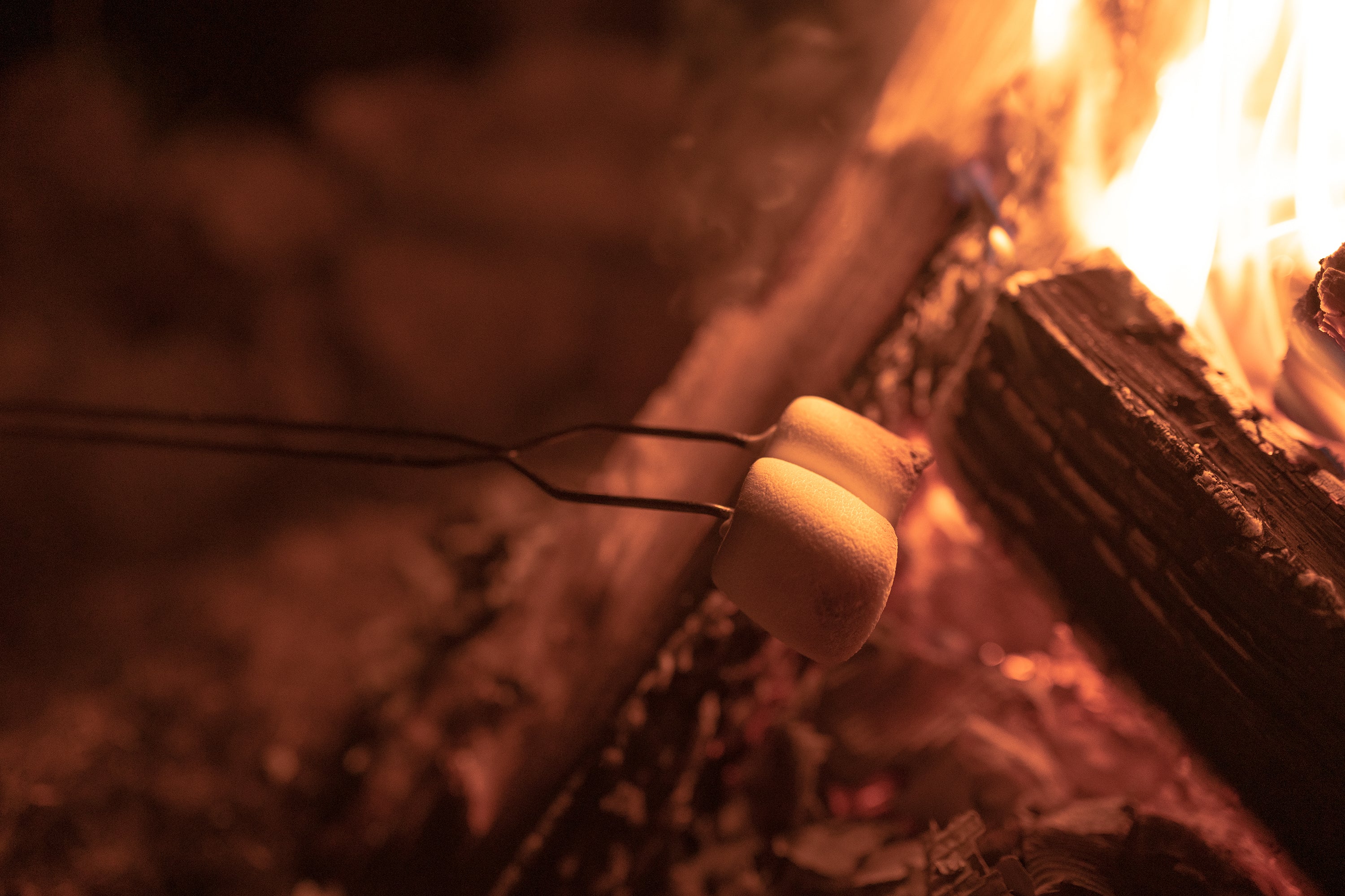 Steel Toaster Forks-4/Pkg-eSafety Supplies, Inc