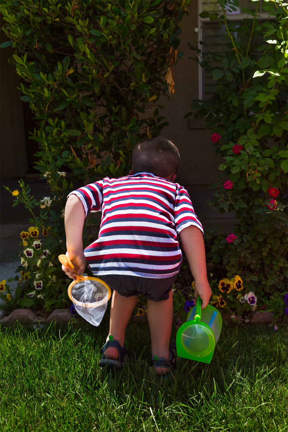 Insect Catching Kit-eSafety Supplies, Inc