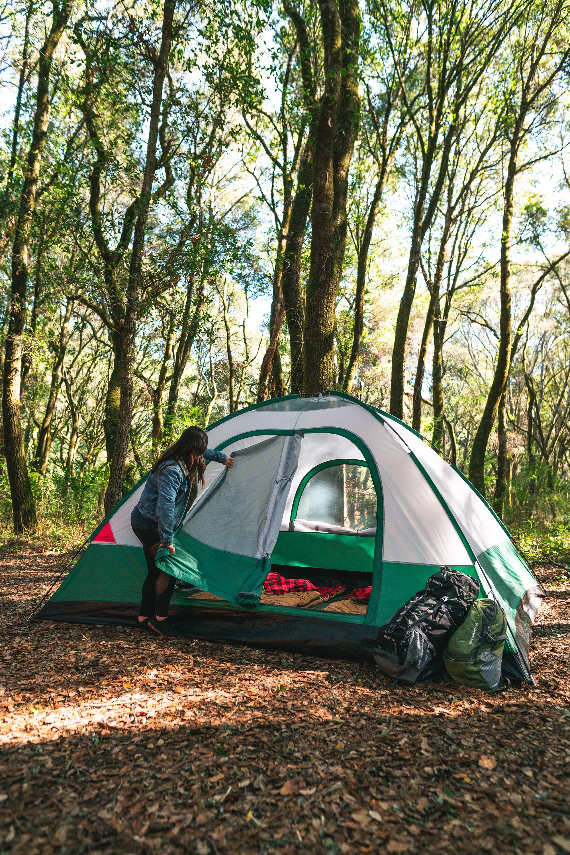 Teton 12 Family Tent - 2 Room - 10 Ft X 12 Ft X 72 Inch-eSafety Supplies, Inc