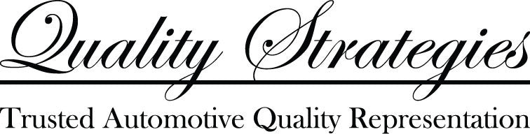 Custom Vest Order - Quality Strategies Incorporated - Reprint-eSafety Supplies, Inc