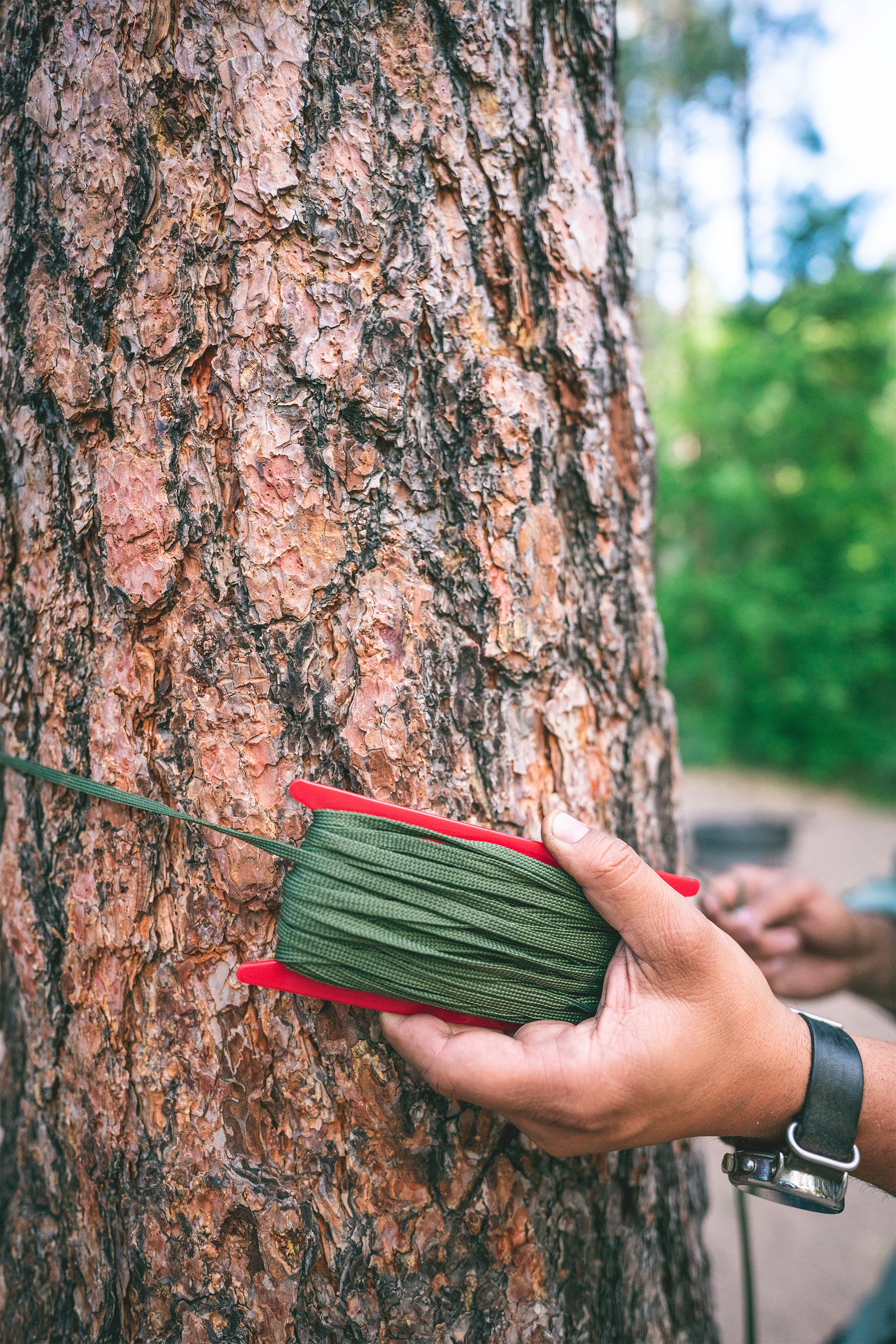 Polypropylene Line - 6 Mm X 50 Ft - O.D.-eSafety Supplies, Inc