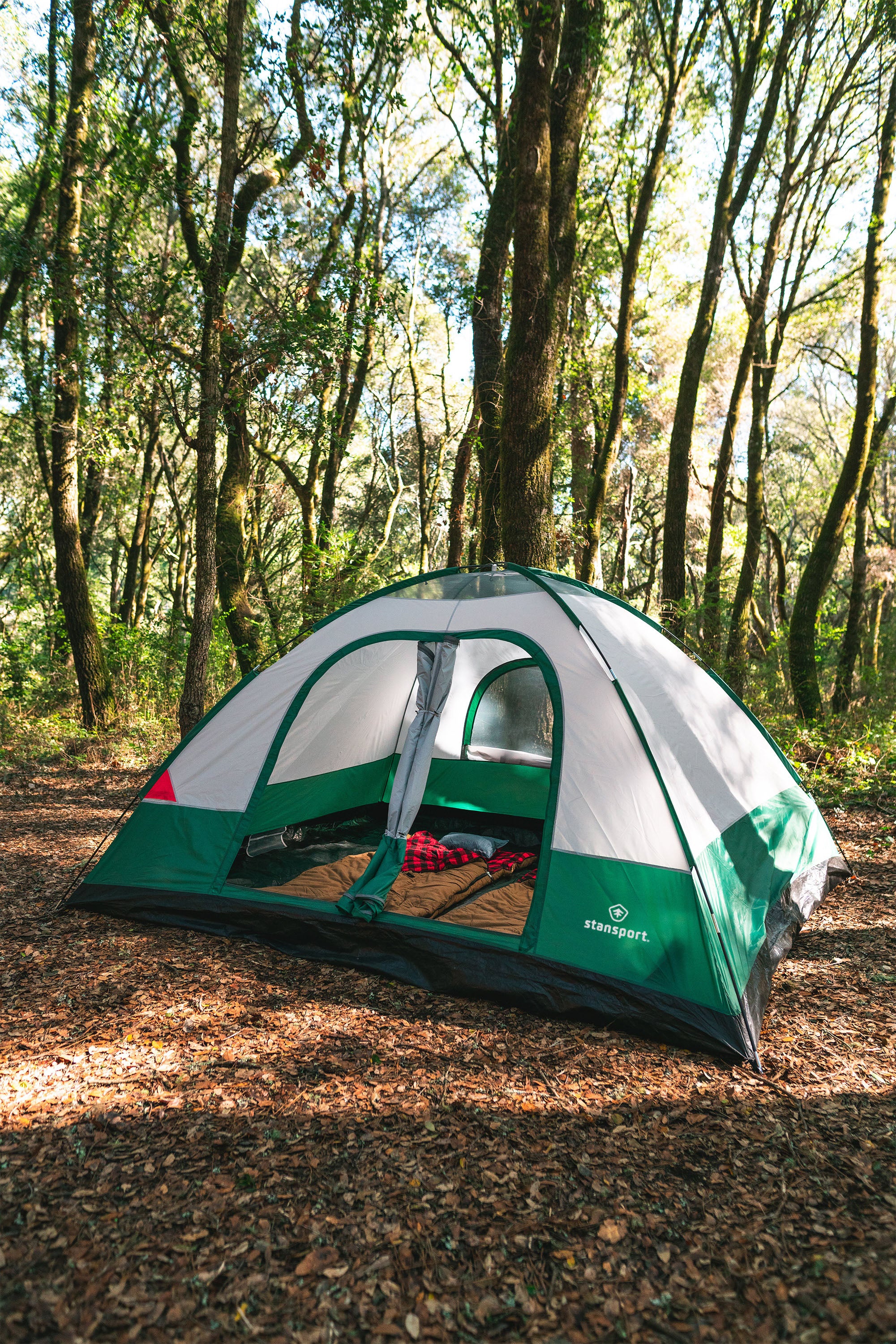 Teton 12 Family Tent - 2 Room - 10 Ft X 12 Ft X 72 Inch-eSafety Supplies, Inc